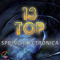 Top 13 Electronica