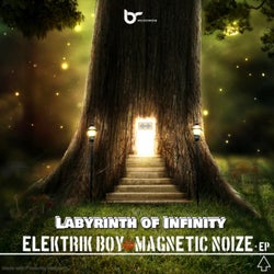 Labyrinth of Infinity