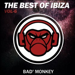 The Best of Ibiza Vol.6, compiled by Bad Monkey