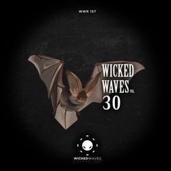 Wicked Waves, Vol. 30