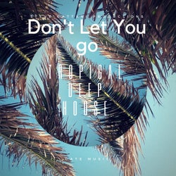Don't Let You Go