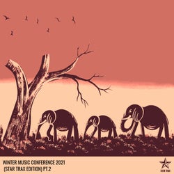 WINTER MUSIC CONFERENCE 2021 (STAR TRAX EDITION) PT.2