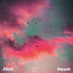 Seyyah