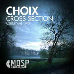 Cross Section (Original Mix)