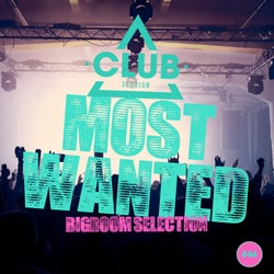 Most Wanted - Bigroom Selection Vol. 44