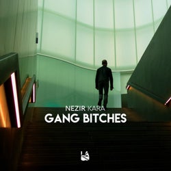 Gang Bitches