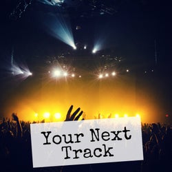 Your Next Track, Vol. 15