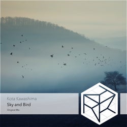 Sky and Bird
