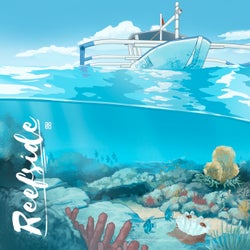 Reefside