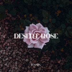 Desert Rose