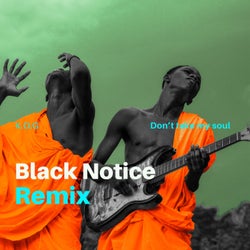 Don't Take My Soul (Black Notice Remix)