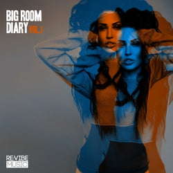 Big Room Diary, Vol. 1