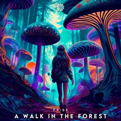 A Walk In The Forest