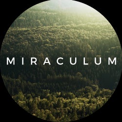 MiraculuM's Favourites 2018