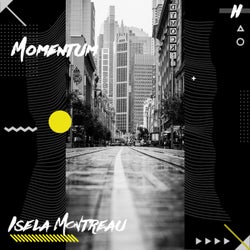 Momentum