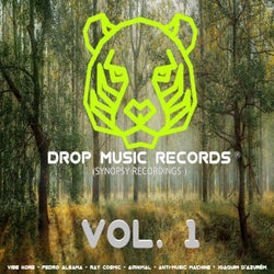 Drop Music Records (Synopsy Recordings), Vol. 1