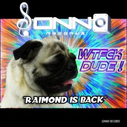 Raimond Is Back