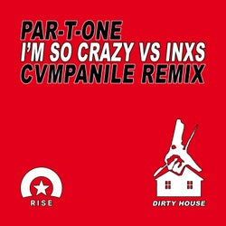 I'm So Crazy (Cvmpanile Extended Remix)