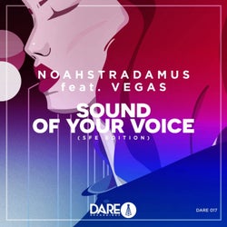 Sound Of Your Voice (SFE Edition)