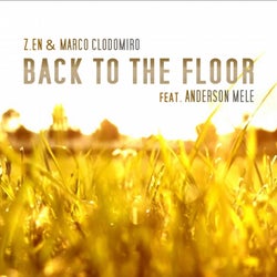 Back to the Floor (feat. Anderson Mele)