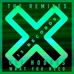 What You Need (The Remixes)