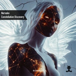 Constellation Discovery
