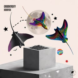 GROOVERSITY
