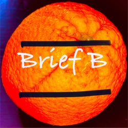 Brief B