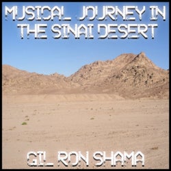 Musical Journey In The Sinai Desert