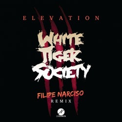 Elevation (Filipe Narciso Remix)