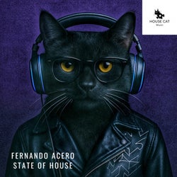 State of House (Original Mix)