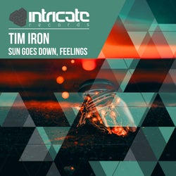 Sun Goes Down, Feelings