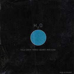 H2O