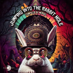 Jumping into the Rabbit Hole (Compiled by Mergel)