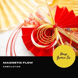 Magnetic Flow