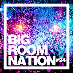 Big Room Nation Vol. 24