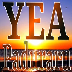 YEA (Paduraru Fitness Music)