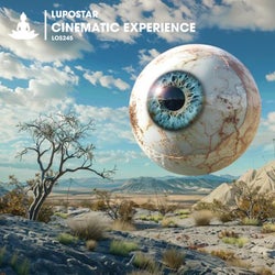 Cinematic Experience