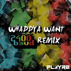 Whaddya Want (2400baud Remix)