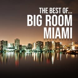 The Best Of... Big Room Miami