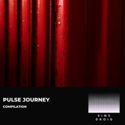 Pulse Journey