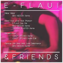 E-Flau! & Friends