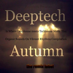 Deeptech Is Where Deephouse Meets Techhouse Music This Autumn (Organic Sounds On Vibrant Rhythms Compilation)
