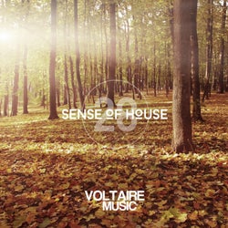 Sense Of House Vol. 28