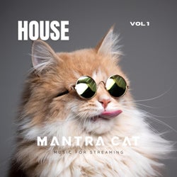 House, Vol. 1