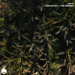 Solar Kali - The Remixes