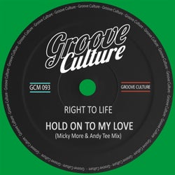Hold On To My Love (Micky More & Andy Tee Mix)