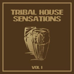 Tribal House Sensations, Vol. 1
