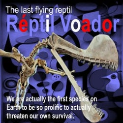 The last flying reptil