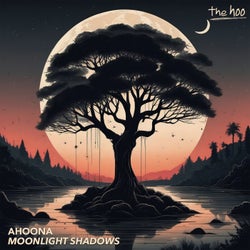 Moonlight Shadows